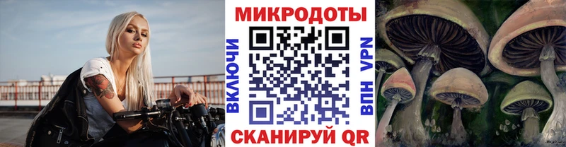 Галлюциногенные грибы Psilocybine cubensis  Андреаполь 